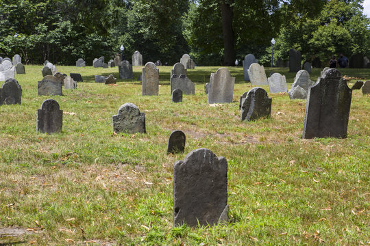 Tombstones in a cemetery
