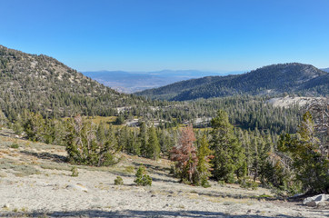 Fototapeta na wymiar Tahoe Meadows in Sierra Nevada near Mount Rose Pass