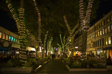 Mini lights wrapped around trees in shopping area