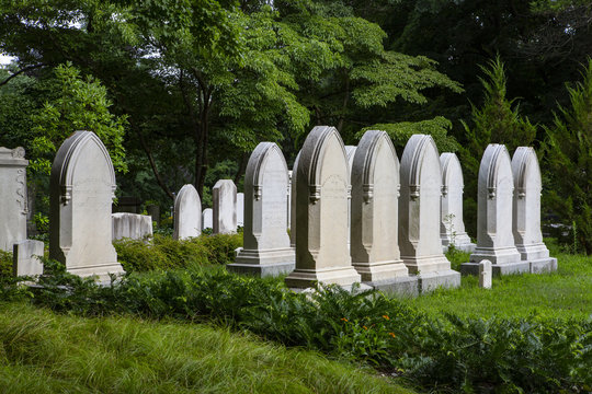 Tombstones in a cemetery