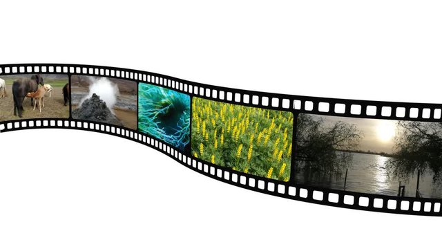 Anima&ccedil;&atilde;o em filme anal&oacute;gico