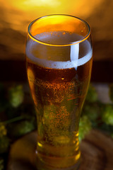 Amber beer with a sprig of hops on a wooden Board. Foam hop drink