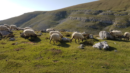 Parque Natural de Gorbeia © David