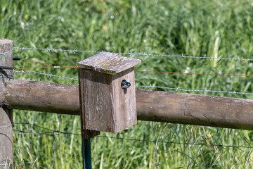 A bluebird is looking out of its wooden nesting box. The box is attached to a wooden rail fence at the corner. A barb wire fence line runs on the right side. There is green grass in the background.
