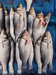 Obraz premium seafood at the fruit market in Istanbul