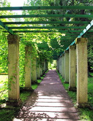 Antique Gallery in the summer garden green trees