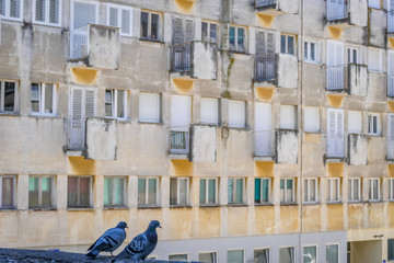 Tauben vor maroder Fassade