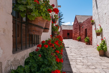 alleys in the sun in the monastery of Santa Catalina Arequipa