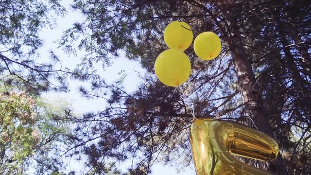 Slow motion. Yellow emoji balloons at little boy birthday party in the park
