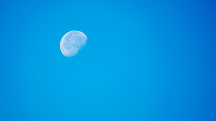 Księżyc za dnia © Mariusz Sowula