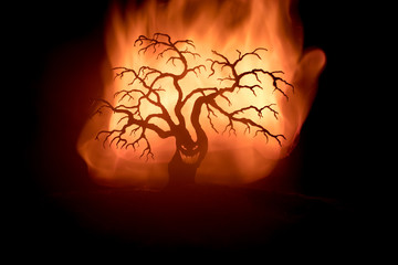 Silhouette of scary Halloween tree with horror face on dark foggy toned fire. Scary horror tree Halloween concept.