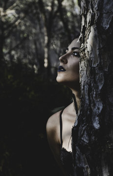 รูปภาพFuga – เลือกดูภาพถ่ายสต็อก เวกเตอร์ และวิดีโอ2,397 | Adobe Stock