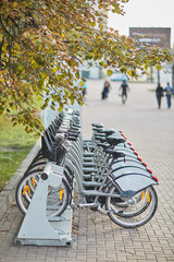 Bicycle rental in the center of Moscow. Transport. Moscow car sharing. center of Moscow. Autumn. 