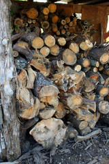 Stack of Wood
