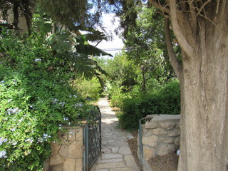 wooden bridge in the park