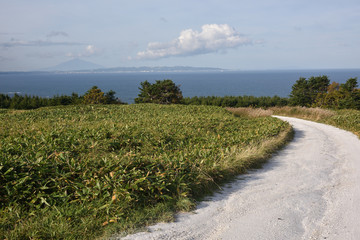 日本の北海道の宗谷岬