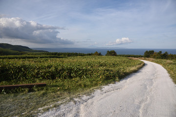 Fototapeta premium 日本の北海道の宗谷岬