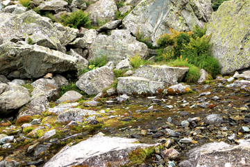 Fototapeta na wymiar Small quantity of water in mountain river, close to the spring, flowing between big white gray rocks, ferns, stones