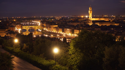 Fototapeta na wymiar Beautiful background plate of Florence at night with bright lights