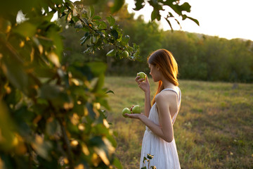 woman with apples in the village garden