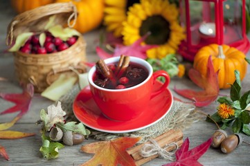 hot winter or autumn drink with spices and wild rose berries, mulled wine, hot wine