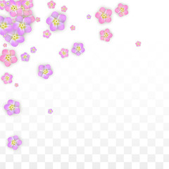 Vector Realistic Pink Flowers Falling on Transparent Background.  Spring Romantic Flowers Illustration. Flying Petals. Sakura Spa Design. Blossom Confetti. Design Elements for Wedding Decoration.