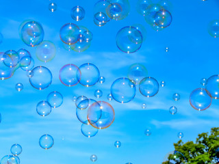 Bubbles
