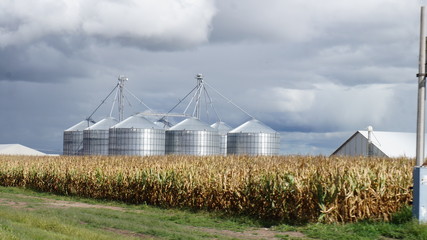 Obraz premium Típico Silos