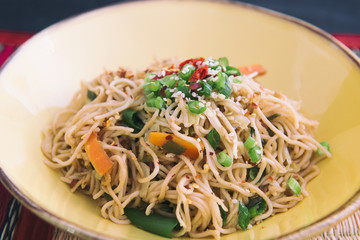 Vegetable hakka Noodles