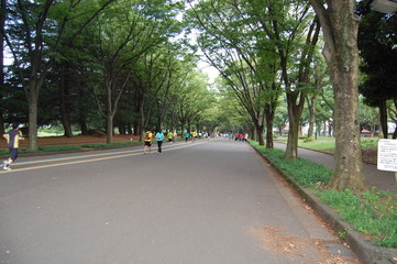 駒沢公園
