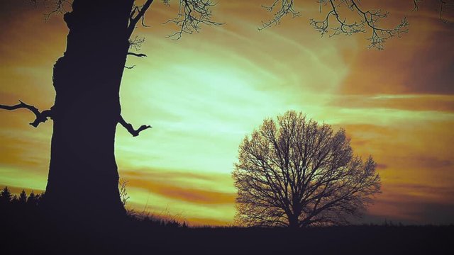At sunset, death with a scythe runs fast