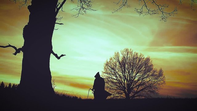 Accult Bilder Durchsuchen 111 Archivfotos, und Videos