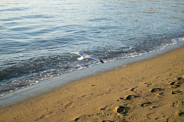 nature and city landscape