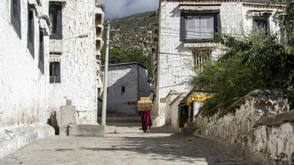 drepung monastery lhasa tibet