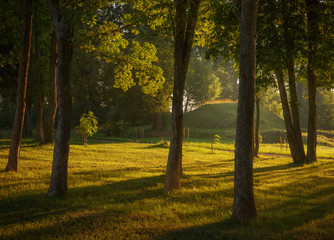 autumn in the park