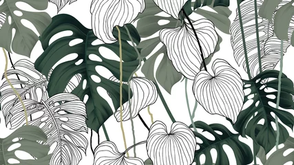 Poster Im Rahmen Floral seamless pattern, green, black and white split-leaf Philodendron plant with vines on white background, pastel vintage theme © momosama