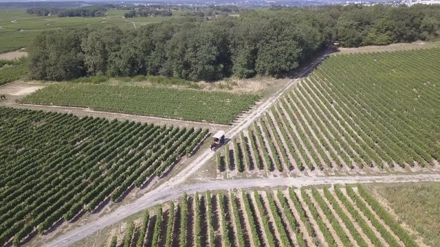 Horse and Carriage Moving Along Trail in Agricultural Area. 4k Aerial Drone Wraps Around Vineyards, Farm and Roads in Loire Valley of France