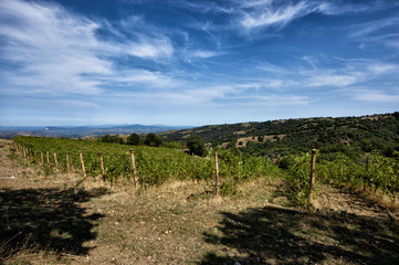 Fototapeta na wymiar The hill of Tuscany, paradise is next / Tuscany My country My love