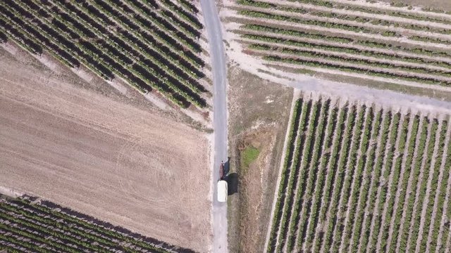 Horse and Carriage Moving Along Trail From Behind in Agricultural Area. 4k Aerial Drone Birds Eyes View of Cart, Vineyards, Farm and Roads in Loire Valley of France