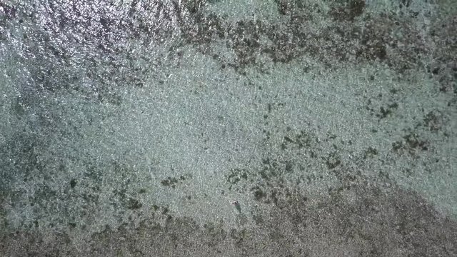 Drone footage over the coast of Moalboal in Cebu, Philippines