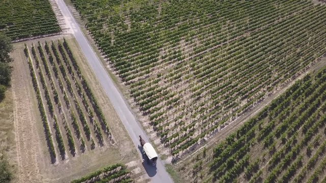 Horse and Carriage Moving Along Trail From Behind in Agricultural Area. 4k Aerial Drone Birds Eye View Passes Over Cart, Vineyards, Farm and Roads in Loire Valley of France