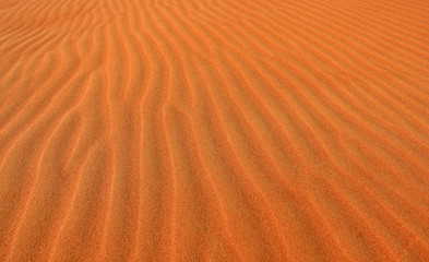desert dunes in the sand at sunset