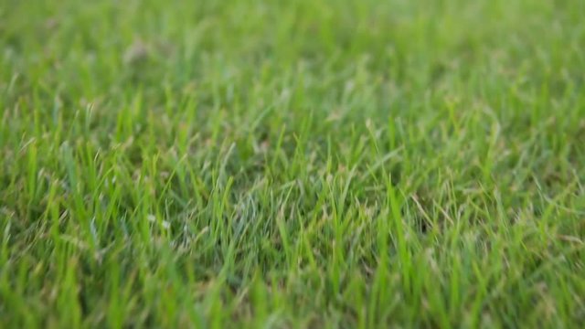 Travelling in through the grass of the pitch at the city stadium recorded in slow motion.