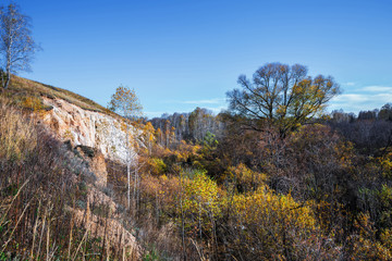 Autumn landscape. Novosibirsk region, Western Siberia, Russia
