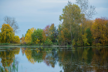 Fototapeta na wymiar Autumn background, Golden autumn: colorful trees near the pond with reflection in the water.