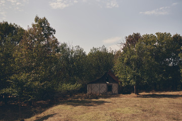 forest hut old nature village