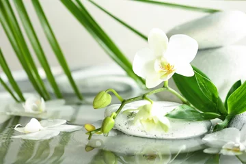 Foto auf Glas Spa stones, orchid and bamboo leaves in water. Space for text © New Africa