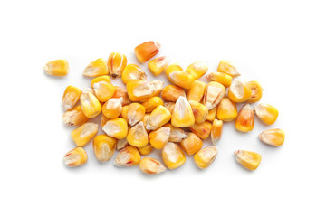 Dried corn kernels on white background, top view