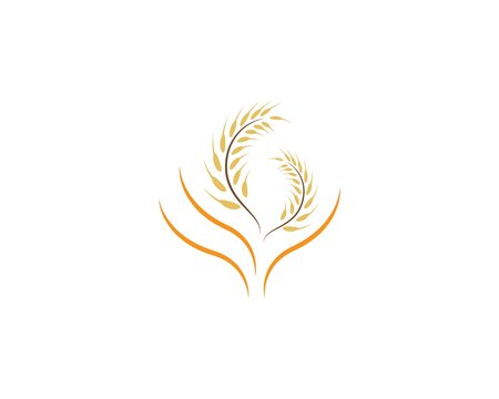 Wheat logo illustration