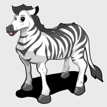 cute cartoon zebra character